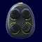 Ergonomic Design