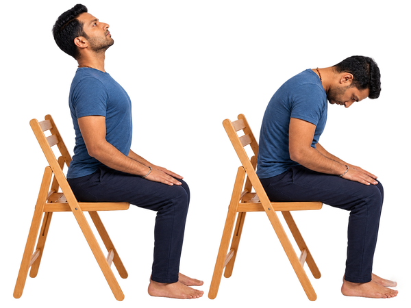 Seated cat-camel (2 min)